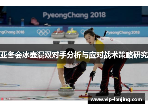 亚冬会冰壶混双对手分析与应对战术策略研究