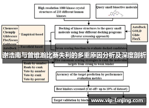 谢浩南与曾维瀚比赛失利的多重原因分析及深度剖析